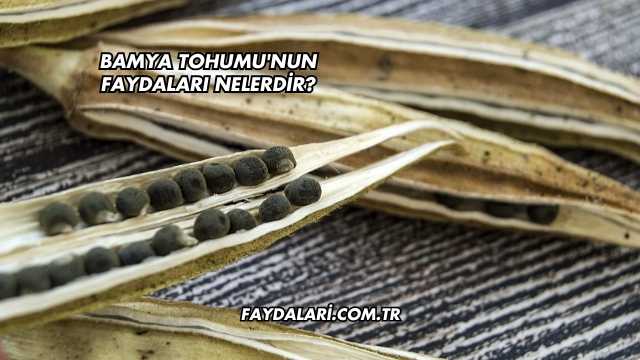 Bamya Tohumu'nun Faydaları Nelerdir?