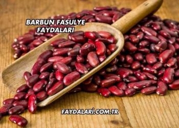 Barbun Fasulye Faydaları
