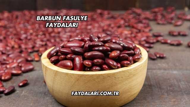 Barbun Fasulye Faydaları