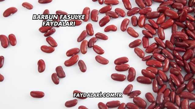 Barbun Fasulye Faydaları