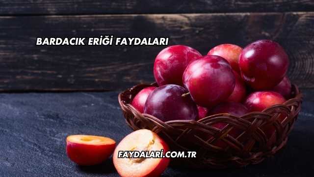 Bardacık Eriği Faydaları