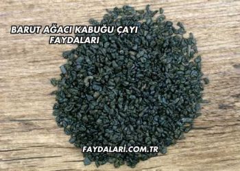 Barut Ağacı Kabuğu Çayı Faydaları