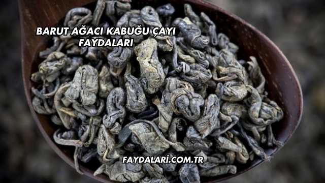 Barut Ağacı Kabuğu Çayı Faydaları