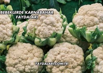 Bebeklerde Karnabahar Faydaları