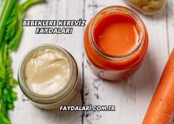 Bebeklere Kereviz Faydaları
