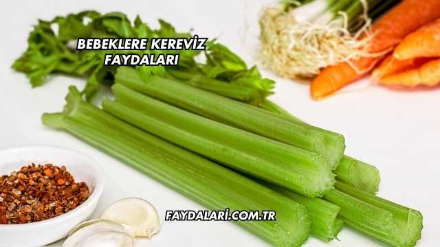 Bebeklere Kereviz Faydaları