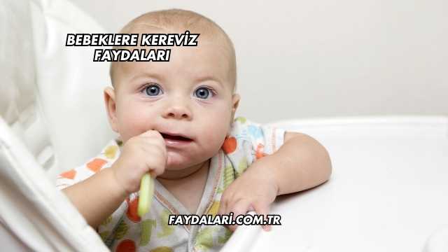 Bebeklere Kereviz Faydaları