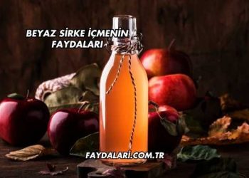 Beyaz Sirke İçmenin Faydaları
