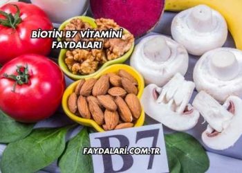 Biotin B7 Vitamini Faydaları