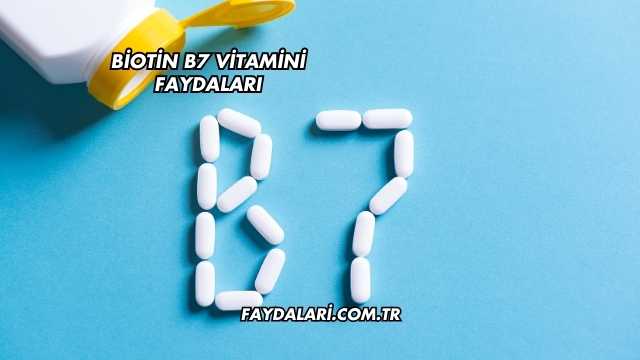 Biotin B7 Vitamini Faydaları