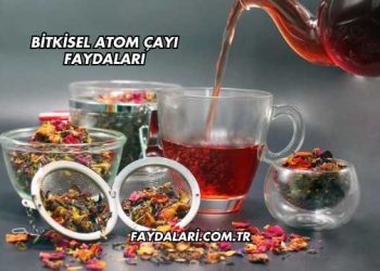 Bitkisel Atom Çayı Faydaları