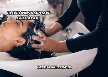Blendax Şampuan Faydaları