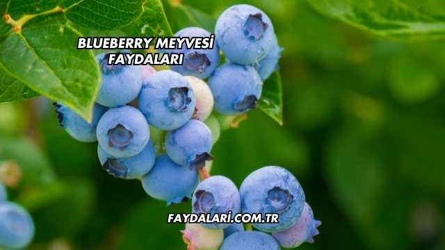 Blueberry Meyvesi Faydaları