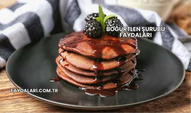 Böğürtlen Şurubu Faydaları