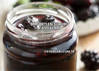 Böğürtlen Şurubu Faydaları