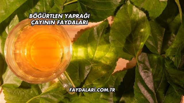 Böğürtlen Yaprağı Çayının Faydaları