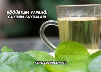 Böğürtlen Yaprağı Çayının Faydaları