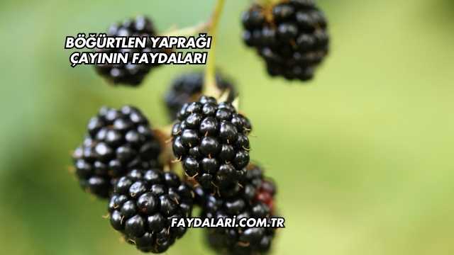 Böğürtlen Yaprağı Çayının Faydaları