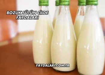 Deniz Turna Balığı Faydaları