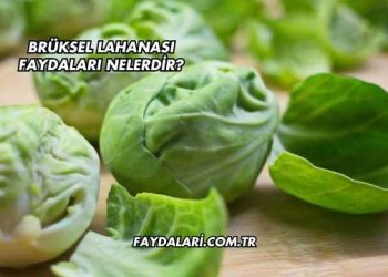 Brüksel Lahanası Faydaları Nelerdir?