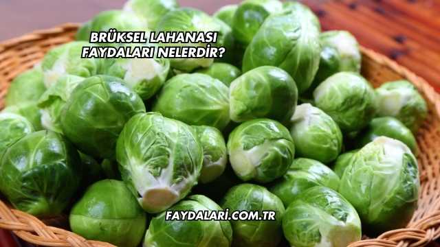 Brüksel Lahanası Faydaları Nelerdir?