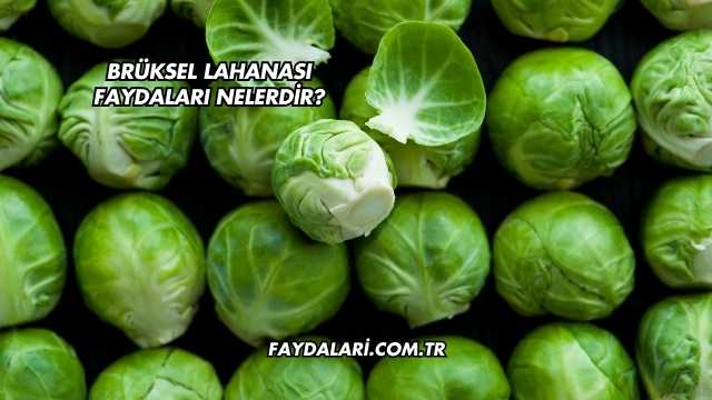 Brüksel Lahanası Faydaları Nelerdir?