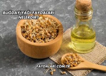 Buğday Yağı Faydaları Nelerdir?