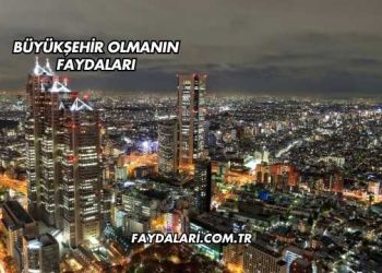 Büyükşehir Olmanın Faydaları