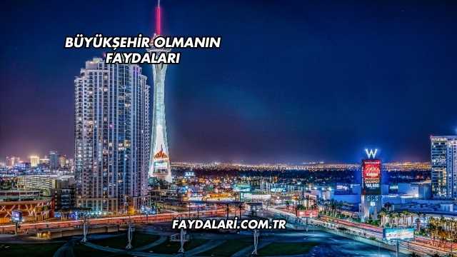 Büyükşehir Olmanın Faydaları