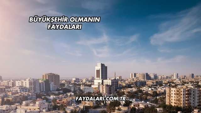 Büyükşehir Olmanın Faydaları
