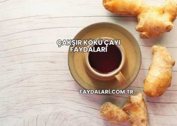 Çakşır Kökü Çayı Faydaları