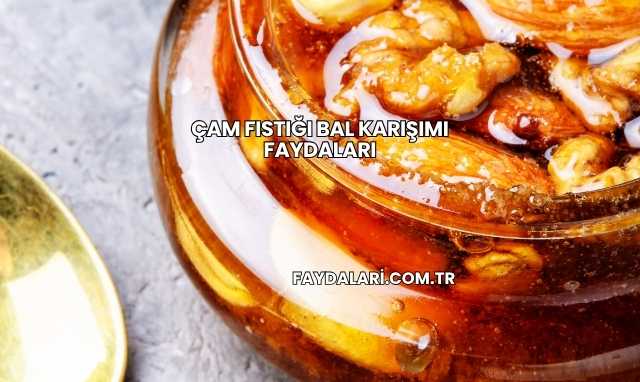 Çam Fıstığı Bal Karışımı Faydaları