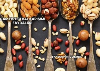 Çam Fıstığı Bal Karışımı Faydaları