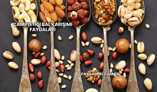 Çam Fıstığı Bal Karışımı Faydaları