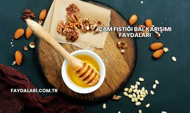 Çam Fıstığı Bal Karışımı Faydaları