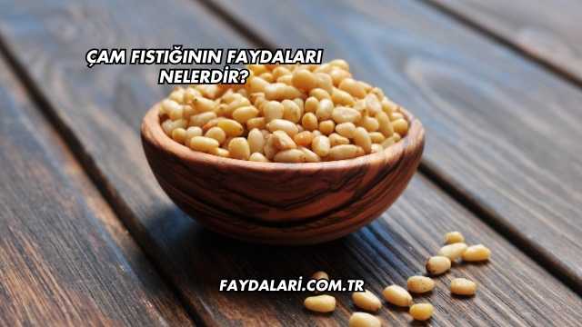 Çam Fıstığının Faydaları Nelerdir?