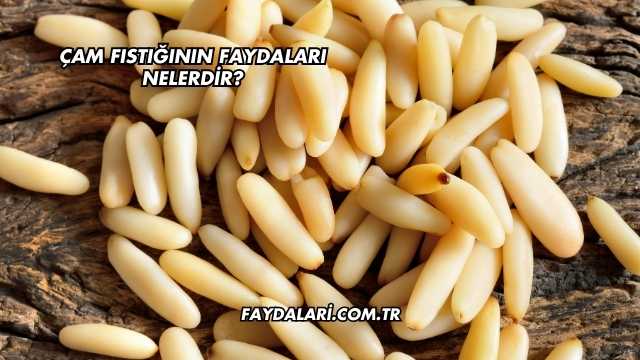 Çam Fıstığının Faydaları Nelerdir?