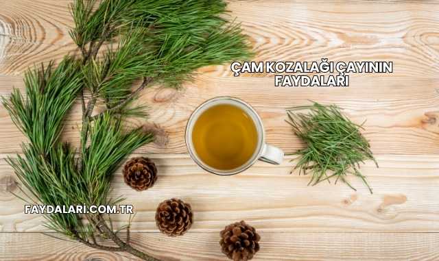 Çam Kozalağı Çayının Faydaları