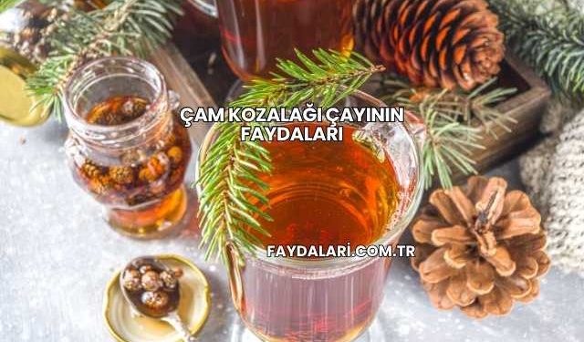 Çam Kozalağı Çayının Faydaları