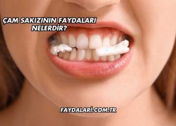 Çam Sakızının Faydaları Nelerdir?
