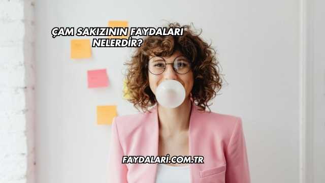 Çam Sakızının Faydaları Nelerdir?