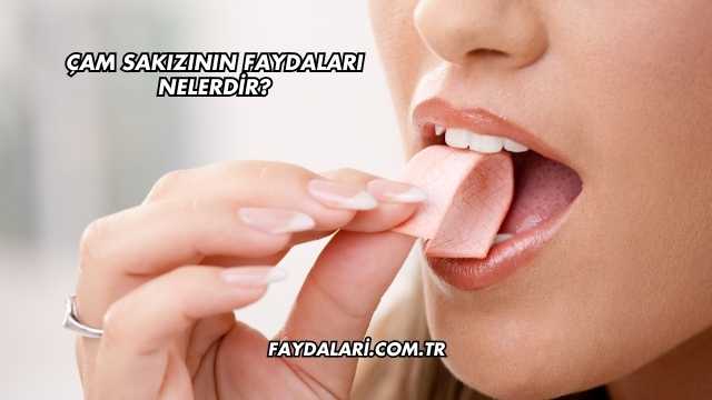 Çam Sakızının Faydaları Nelerdir?