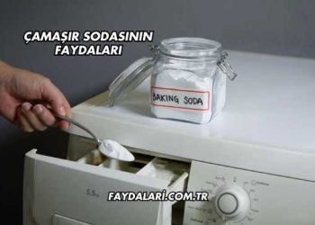 Çamaşır Sodasının Faydaları