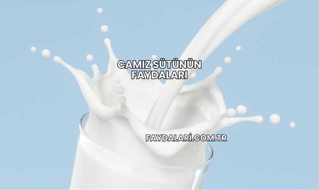 Camız Sütünün Faydaları