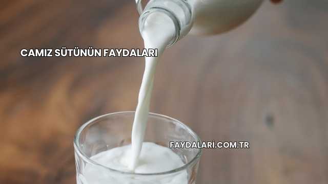 Camız Sütünün Faydaları