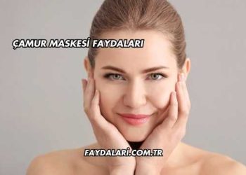 Çamur Maskesi Faydaları