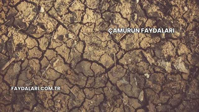 Çamurun Faydaları