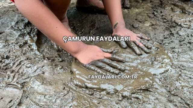 Çamurun Faydaları