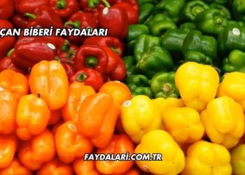 Çan Biberi Faydaları