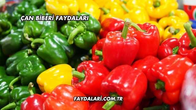 Çan Biberi Faydaları